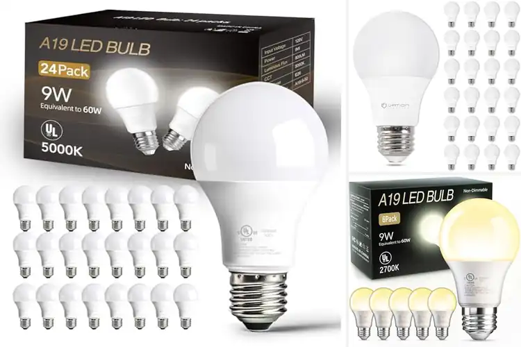 Detailed view of Best 120V LED Bulbs