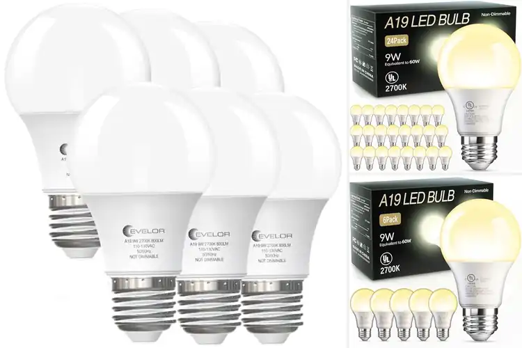 Detailed view of Best 2700K Soft White LED Bulbs