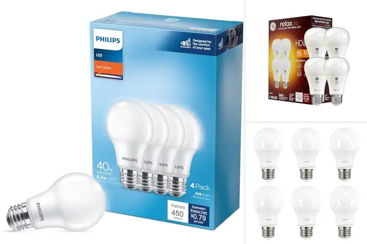 Detailed view of Best 450 Lumen LED Bulbs for Bright, Energy-Saving Light