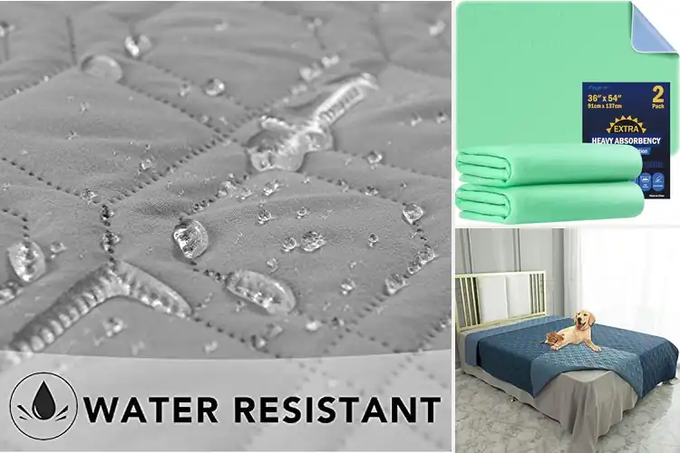 Detailed view of Best Absorbent Dog Bed Covers for Clean & Cozy Pets