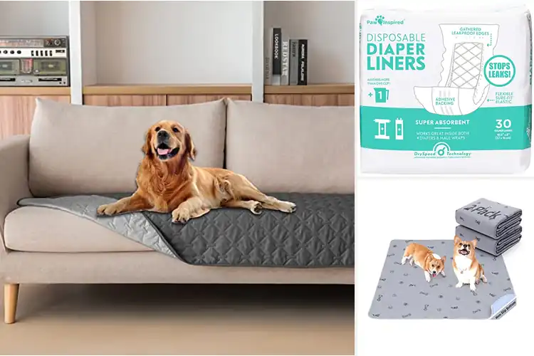 Detailed view of Best Absorbent Dog Covers: Top 10 Picks for a Clean Home