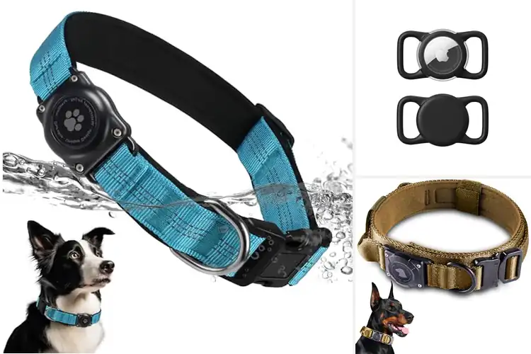 Detailed view of Best AirTag Dog Collars: Top 10 Stylish & Secure Picks