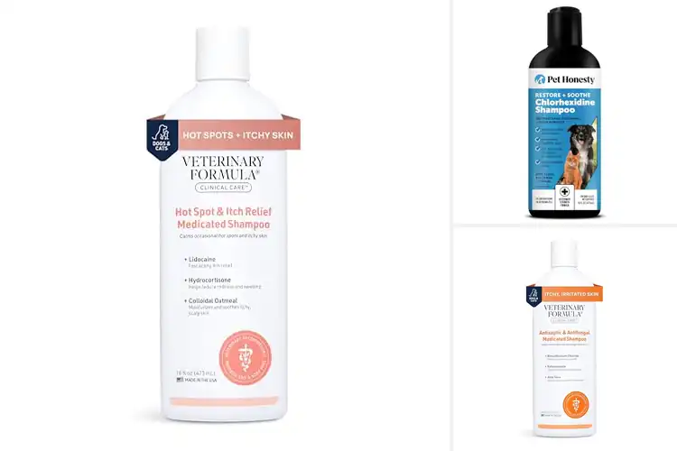 Detailed view of Best Anti-Itch Cat Shampoos