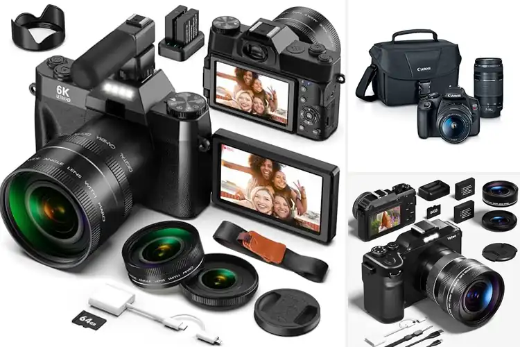 Detailed view of Best Beginner Cameras