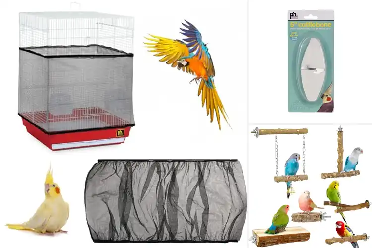 Detailed view of Best Bird Cage Accessories for a Happier Pet
