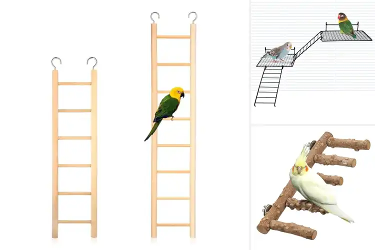 Detailed view of Best Bird Cage Accessory Ladder