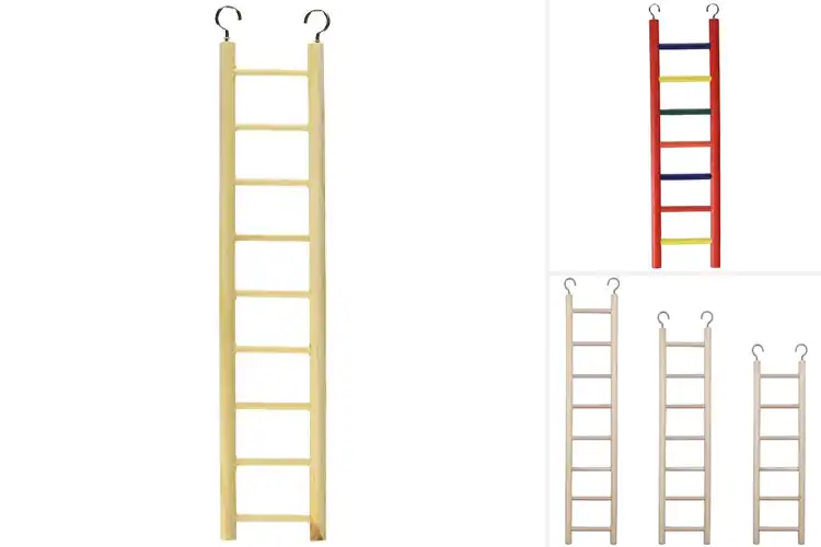 Detailed view of Best Bird Cage Ladders