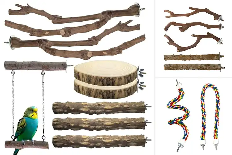 Detailed view of Best Bird Cage Perches