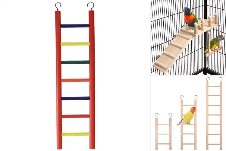 Detailed view of Best Bird Climbing Ladders