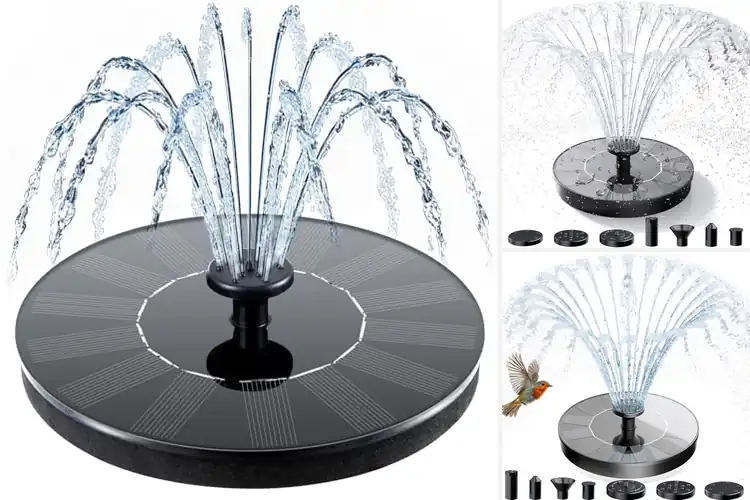 Detailed view of Best Bird Habitat Fountain