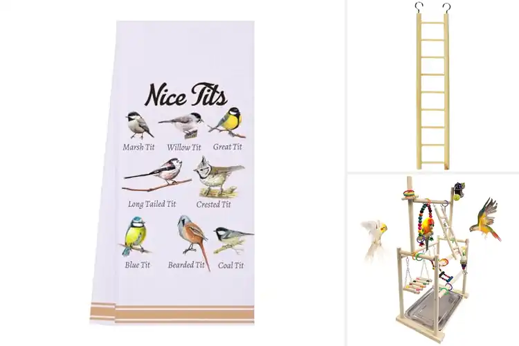 Detailed view of Best Bird Lover Gift Ladder: Safe, Fun, and Durable Picks