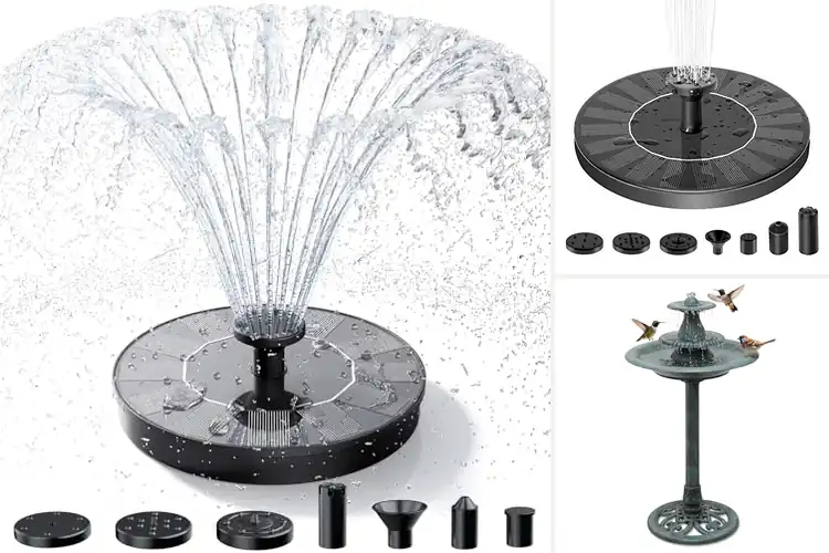 Detailed view of Best Bird Nesting Fountains