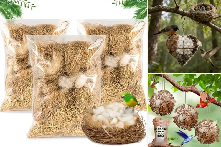 Detailed view of Best Bird Nesting Spots