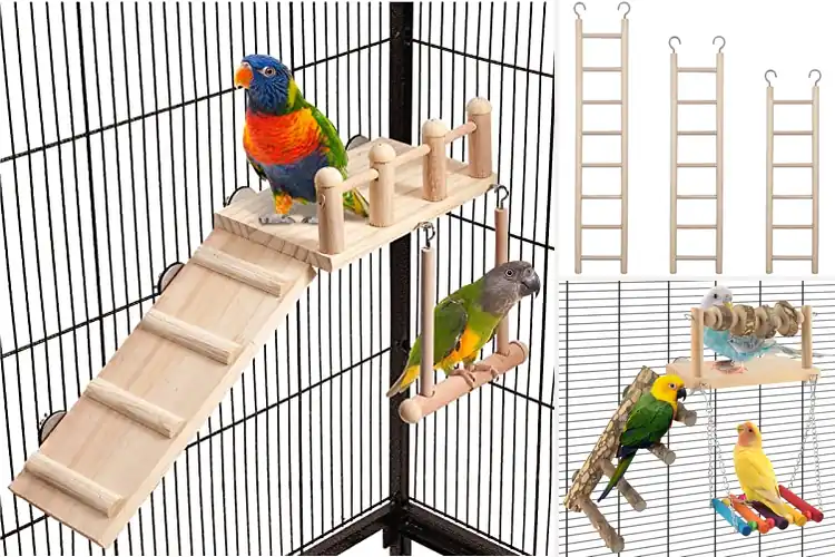 Detailed view of Best Bird Perch Ladder Set: Happy Bird, Happy Life