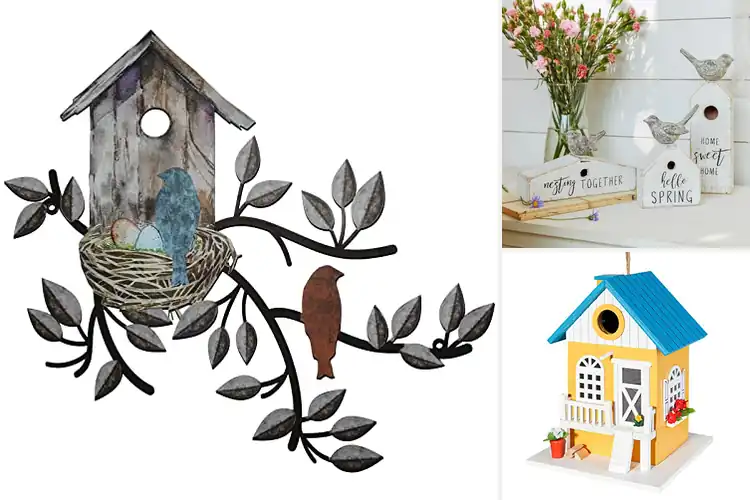 Detailed view of Best Birdhouse Decorations