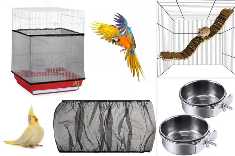 Detailed view of Best Cage Accessories: Top 10 Picks for a Cozy Pet Haven