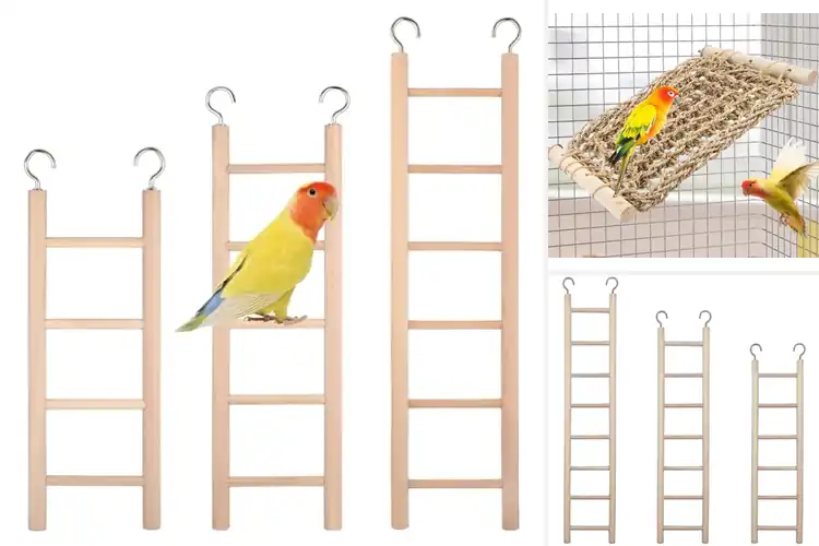 Detailed view of Best Climbing Ladder For Parrots