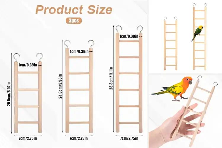 Detailed view of Best Cockatoo Climbing Ladders: 6 Top Picks for Active Birds