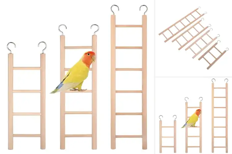 Detailed view of Best Cockatoo Ladder Sets