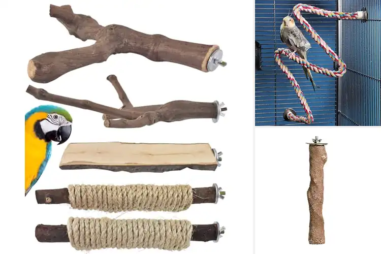 Detailed view of Best Cockatoo Perches