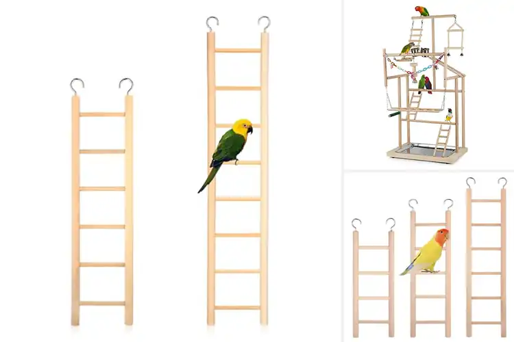 Detailed view of Best Cockatoo Play Ladders for Happy, Active Birds