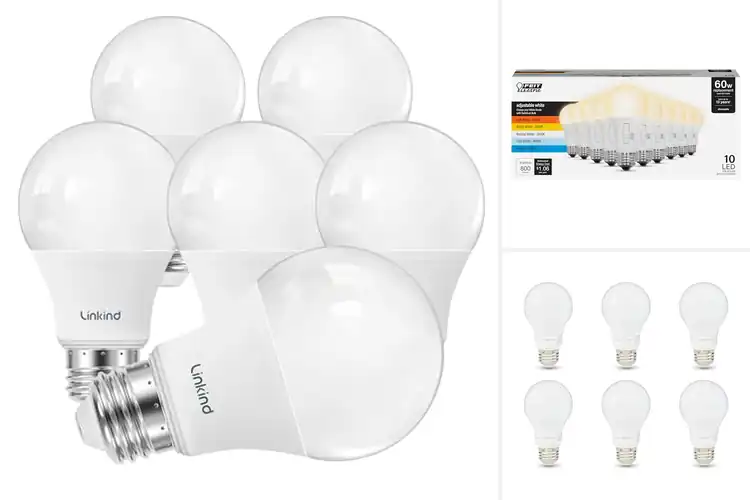 Detailed view of Best Dimmable LED Bulbs