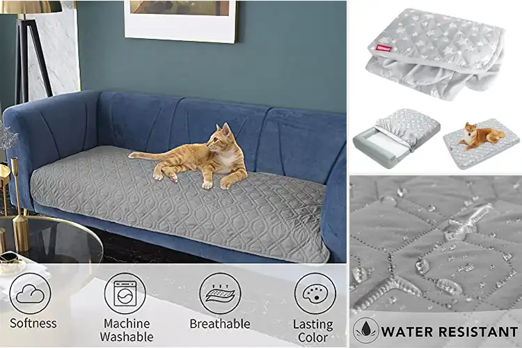 Detailed view of Best Dog Bed Protectors: Top Picks for Easy-Clean & Comfort