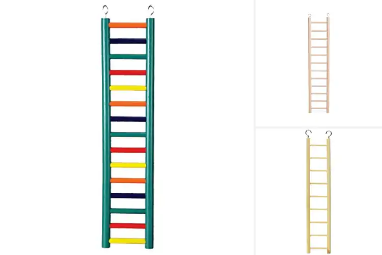 Detailed view of Best Durable Bird Ladders