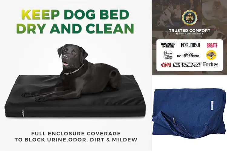 Detailed view of Best Durable Dog Bed Covers: Protect & Pamper Your Pup