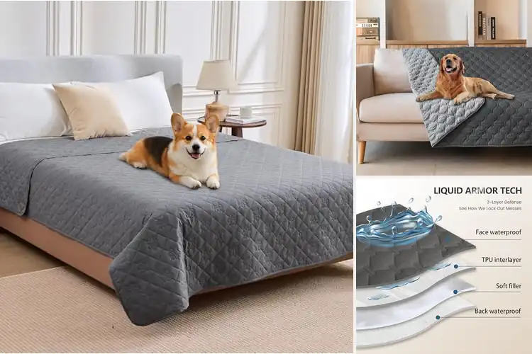 Detailed view of Best Durable Dog Bed Protectors: Keep Your Pet’s Bed Fresh