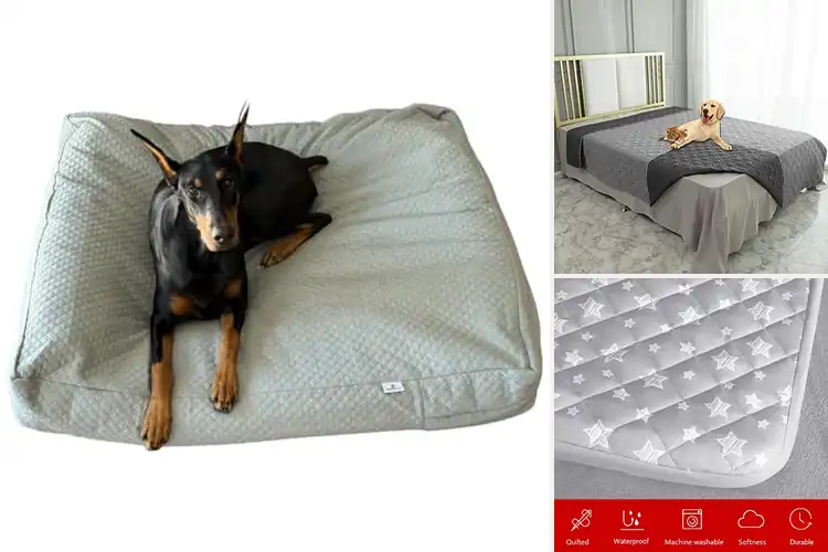 Detailed view of Best Durable Quilted Dog Bed Covers