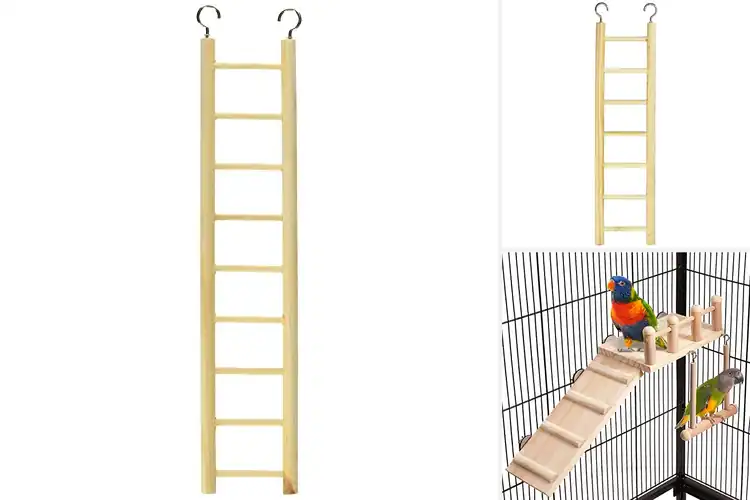 Detailed view of Best Easy-Install Bird Ladders