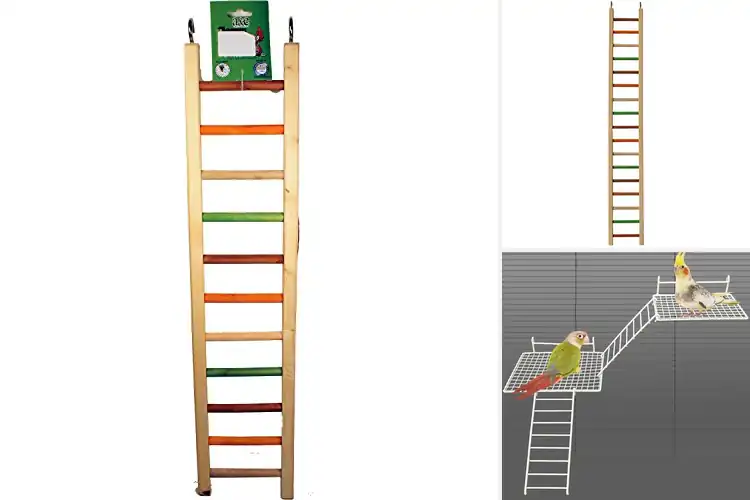 Detailed view of Best Easy-Install Cage Ladders