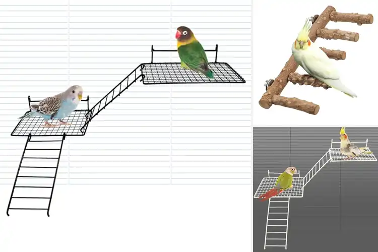 Detailed view of Best Easy Install Parrot Cage Ladder