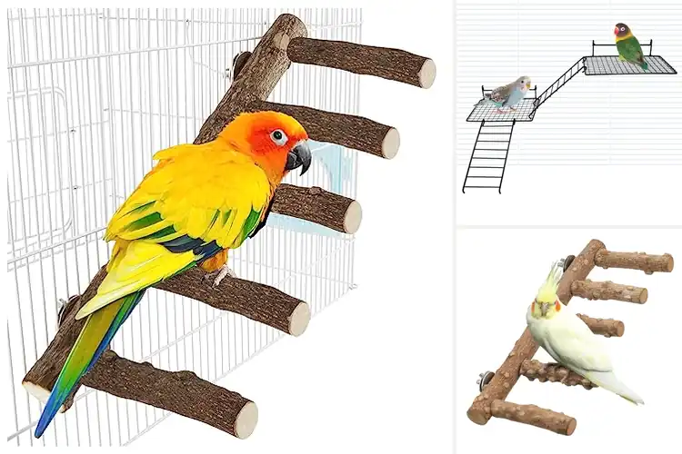 Detailed view of Best Easy Install Parrot Ladder