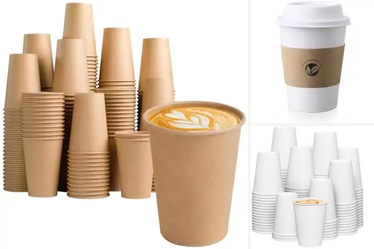 Detailed view of Best Eco-Friendly Hot Cups