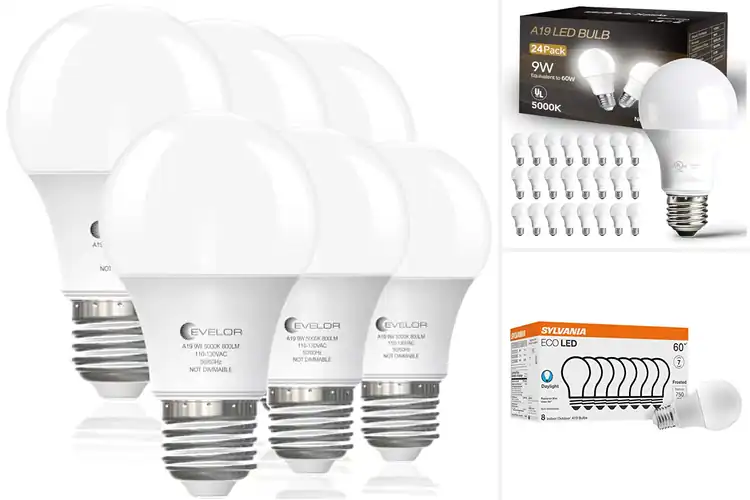 Detailed view of Best Energy Efficient LED Bulbs