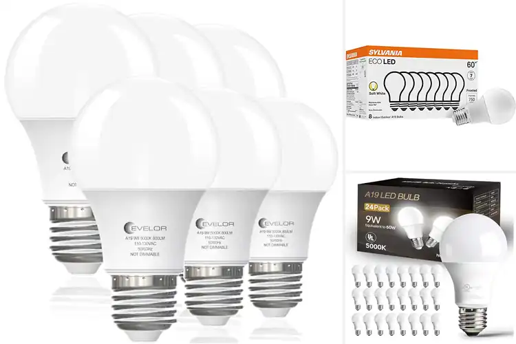 Detailed view of Best Energy Efficient Light Bulbs