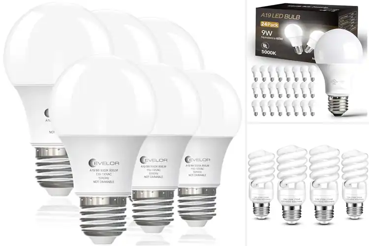 Detailed view of Best Energy Saving Bulbs: Top 10 Picks to Brighten & Save