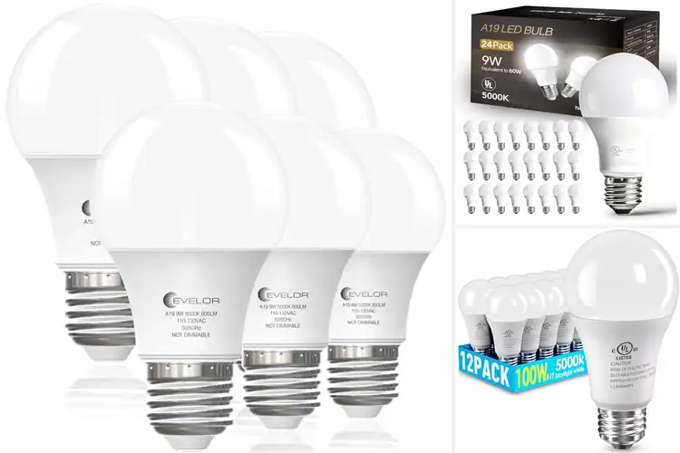 Detailed view of Best Energy Saving LED Bulbs
