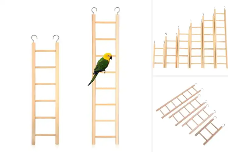 Detailed view of Best Five Size Parrot Ladders Set: Happy, Active Birds