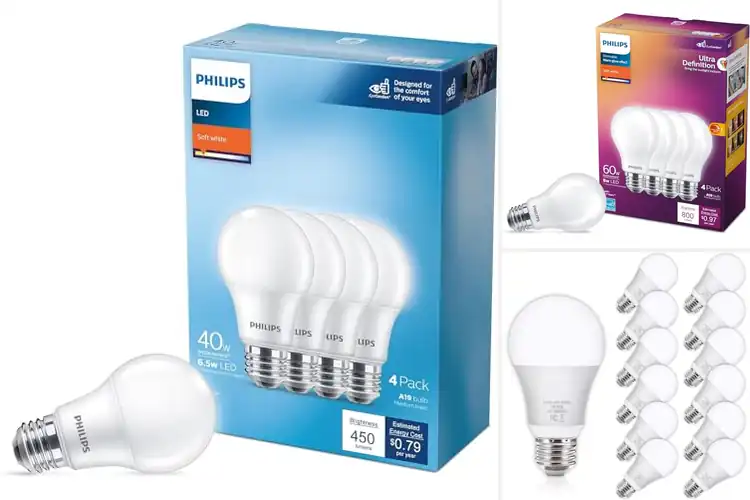 Detailed view of Best Flicker Free Bulbs