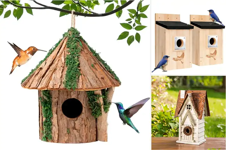 Detailed view of Best Functional Birdhouse With Nesting