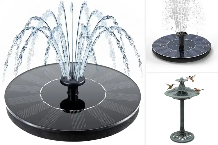 Detailed view of Best Garden Water Fountains