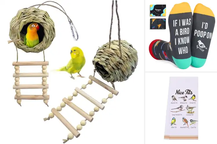Detailed view of Best Gift For Bird Lovers Ladder