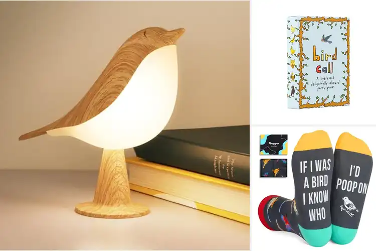 Detailed view of Best Gift For Bird Lovers: 10 Unique Nature-Inspired Ideas