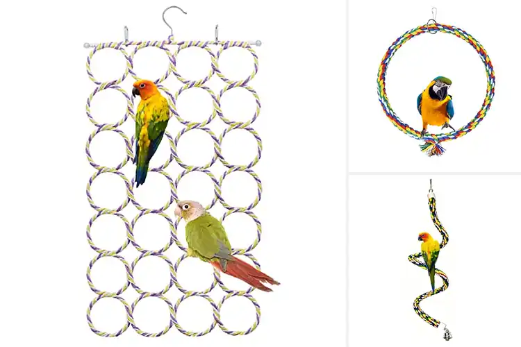Detailed view of Best Hanging Bird Perches: Top 10 Picks for Happy Birds