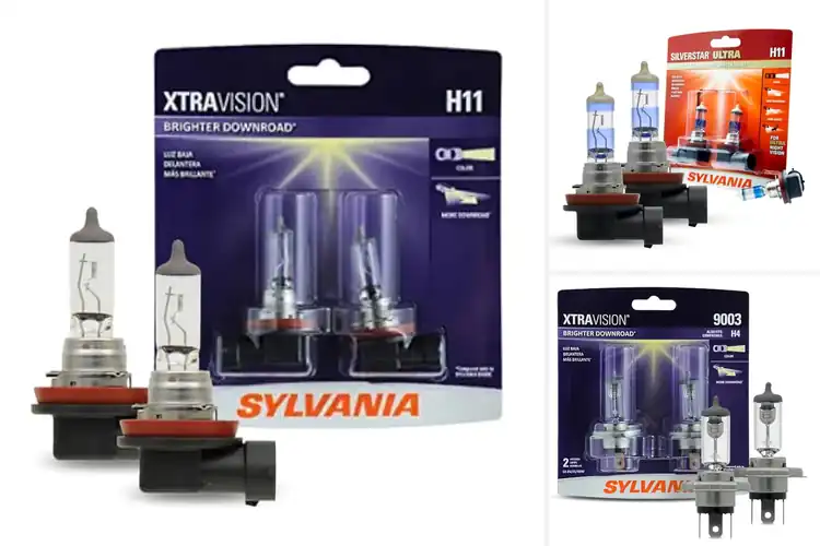 Detailed view of Best High-Performance Halogen Bulbs