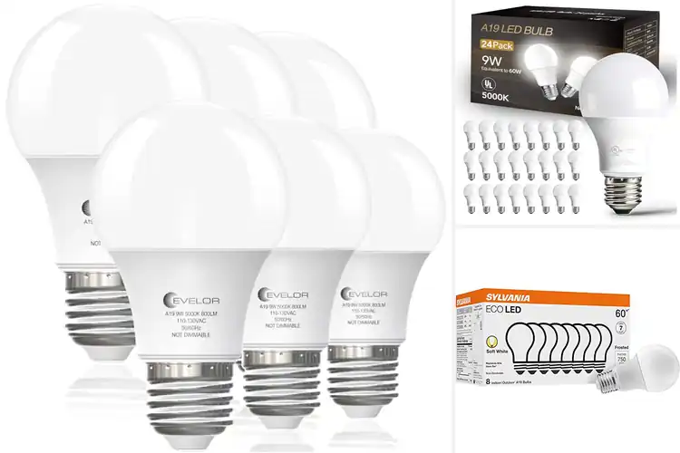 Detailed view of Best Home LED Bulbs: Illuminate Your Space and Save Energy