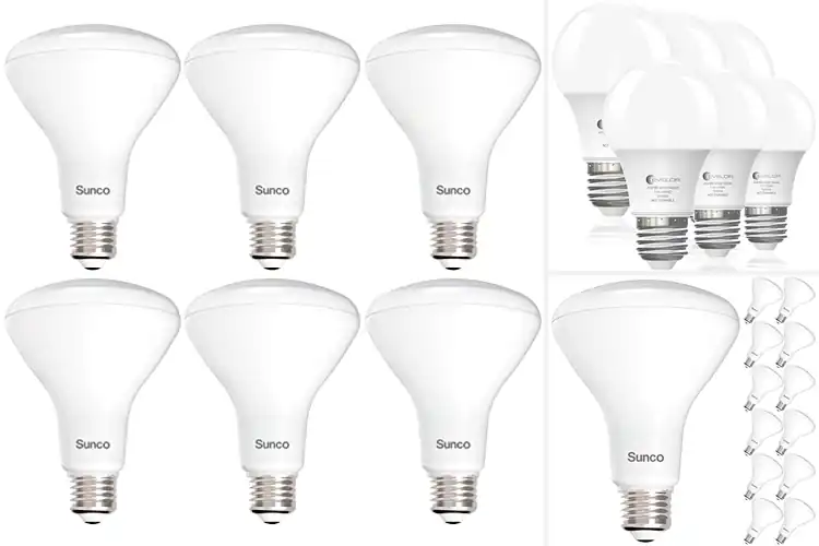 Detailed view of Best Kitchen Light Bulbs